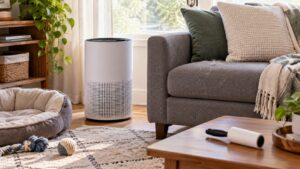Plain air purifier in a pet-friendly living room with pet bed and lint roller